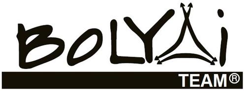 BOLYAI TEAM trademark