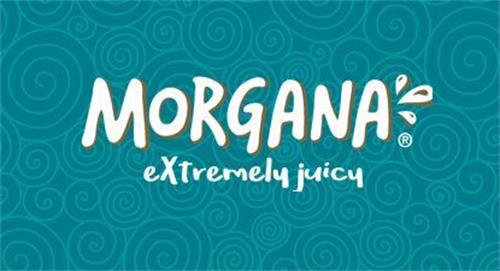 MORGANA extremely juicy trademark