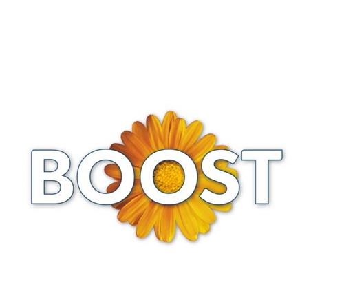 BOOST trademark