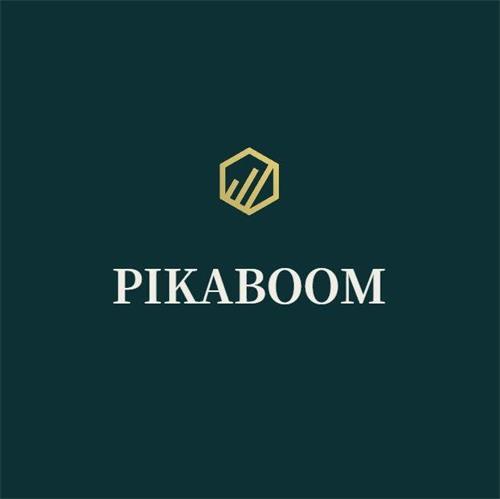 PIKABOOM trademark