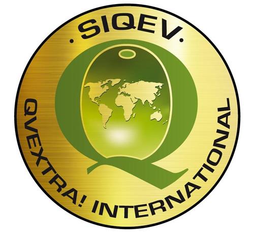 SIQEV  QVEXTRA ! INTERNATIONAL trademark