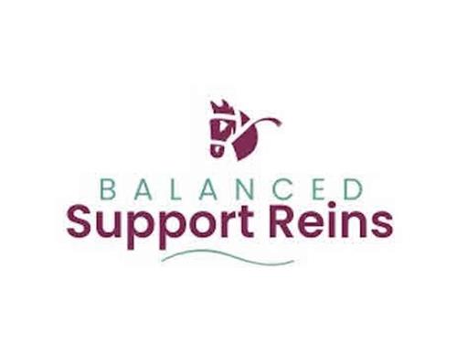 BALANCED Support Reins trademark