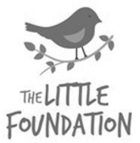 THE LITTLE FOUNDATION trademark