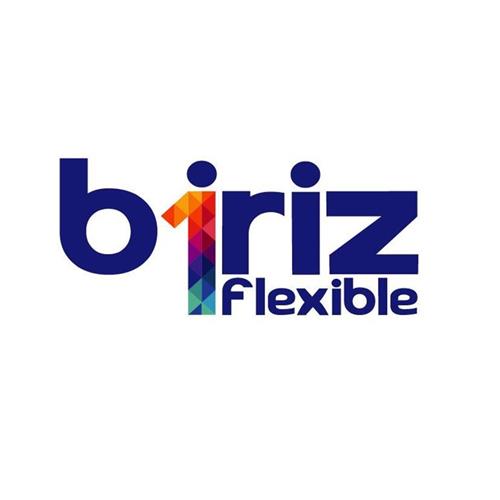 biriz flexible trademark