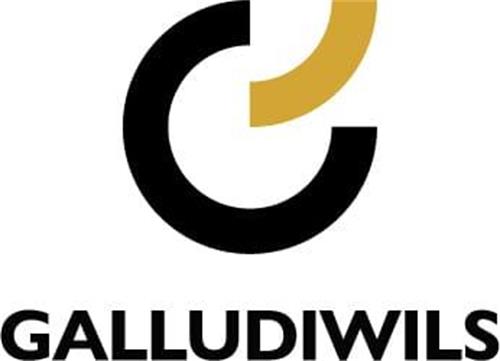 GALLUDIWILS trademark