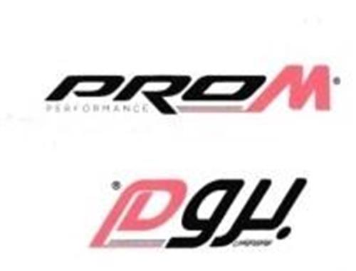 PRO M PERFORMANCE trademark