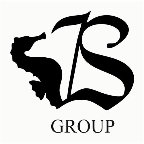 S GROUP trademark