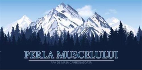 PERLA MUSCELULUI APĂ DE MASĂ CARBOGAZOASĂ trademark