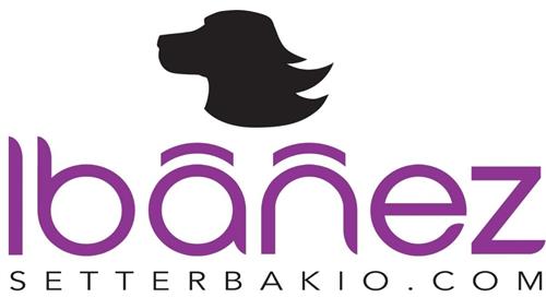 IBAÑEZ SETTERBAKIO.COM trademark