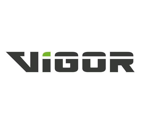 VIGOR trademark