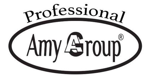 Amy Group Professional trademark