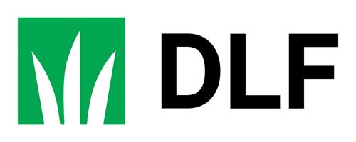 DLF trademark