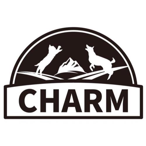 CHARM trademark