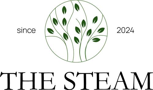 since 2024 THE STEAM trademark