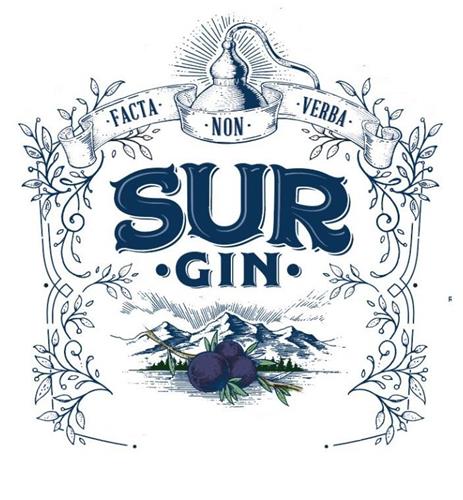 FACTA NON VERBA SUR GIN trademark