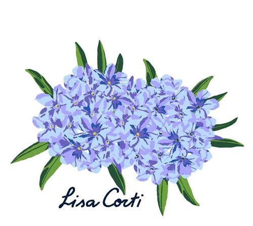 Lisa Corti trademark