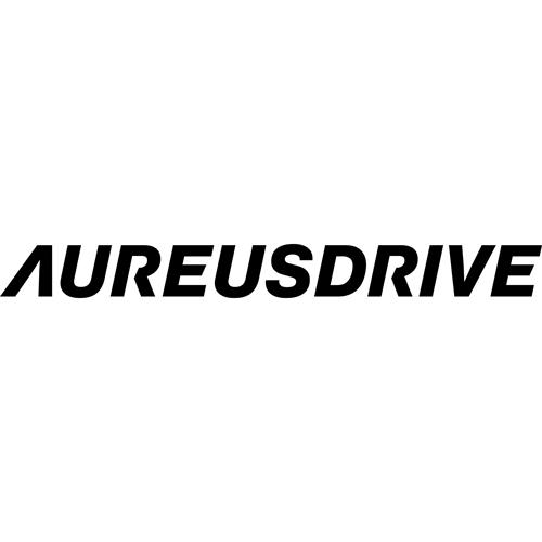 AUREUSDRIVE trademark