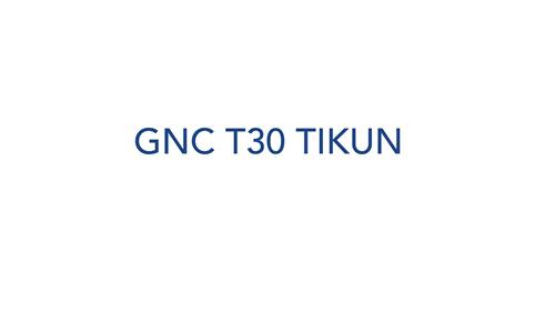 GNC T30 TIKUN trademark